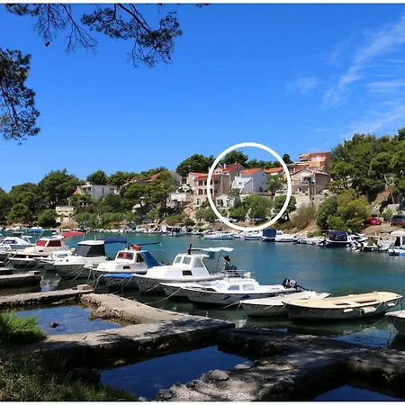 Elvi - Amazing Position & Parking